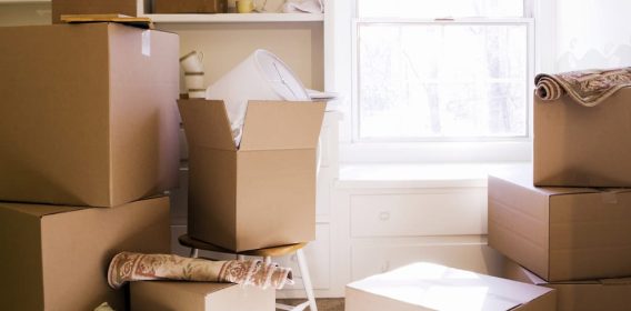 Professional Moving Companies in Germantown professional moving companies in Germantown, moving company Germantown, professional moving companies Germantown